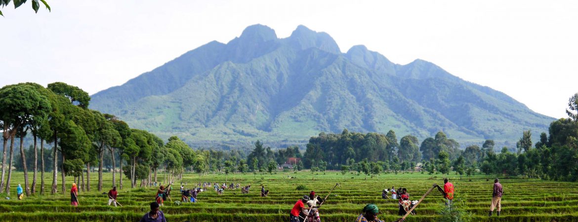 3 Days Mount Sabyinyo Volcano Hike