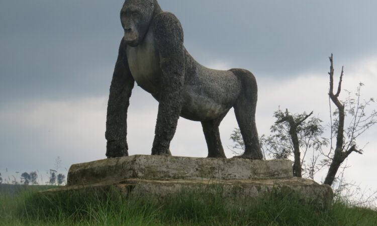 4 Days Lowland Gorillas & Rwanda Chimpanzee trekking Safari
