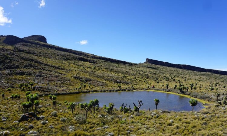 Mountain Elgon National Park