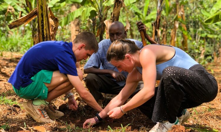 Sipi coffee plantation tour